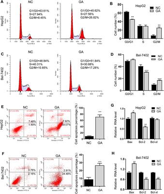 Gallic Acid Suppressed Tumorigenesis by an LncRNA MALAT1-Wnt/β-Catenin Axis in Hepatocellular Carcinoma